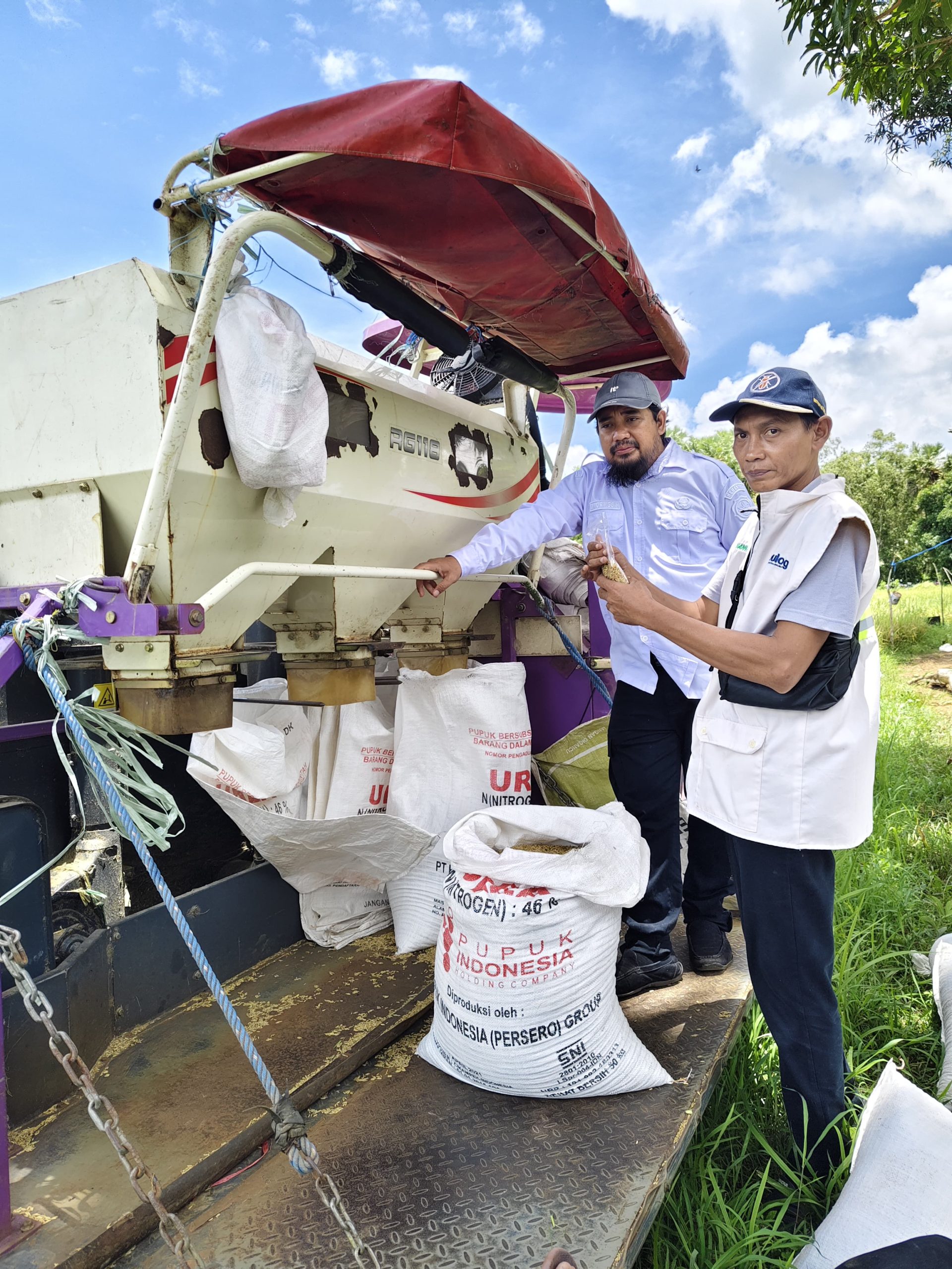 Koordinator Penyuluh dan Petani saat panen padi perdana varietas Inpari 42 di Desa Leggung Barat.
