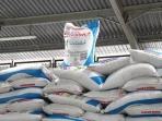 Ketika harga pupuk dunia melonjak drastis di atas 40 persen akibat karut-marut pasokan global, Presiden Prabowo Subianto mengambil langkah kontratif dengan menurunkan harga pupuk bersubsidi sebesar 20 persen. Langkah strategis ini diambil demi mengamankan daya tanam petani sekaligus menjaga benteng produksi pangan nasional tetap tegak berdiri.