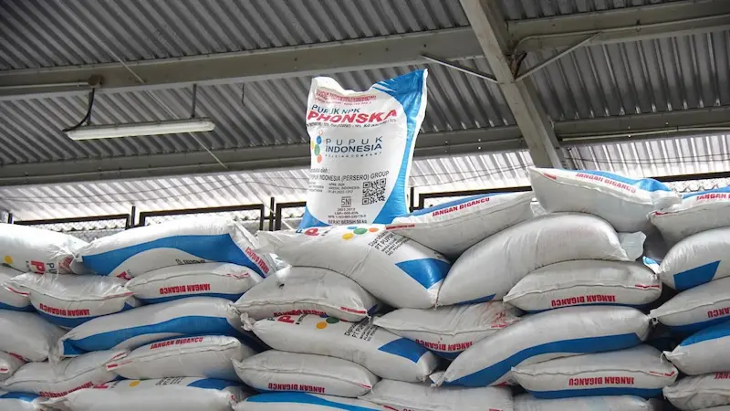 Ketika harga pupuk dunia melonjak drastis di atas 40 persen akibat karut-marut pasokan global, Presiden Prabowo Subianto mengambil langkah kontratif dengan menurunkan harga pupuk bersubsidi sebesar 20 persen. Langkah strategis ini diambil demi mengamankan daya tanam petani sekaligus menjaga benteng produksi pangan nasional tetap tegak berdiri.