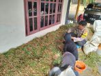 IMG-20260619-WA0029